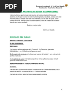 Resumen Del Segundo Cuatrimestre Anatomia David Leal Aguado PDF