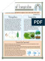 Transpiration Experiment