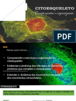 Citoesqueleto 15.09