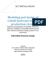 Modeling and Design of Cobalt Hydroxyl Sulfate Production Circuit