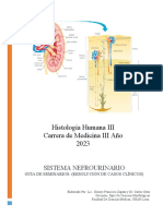 Nefro Casos Clinicos PDF