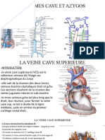 07-Systèmes Cave Et Azygos