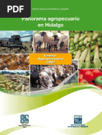 Panoramo Agropecuario Hidalgo PDF