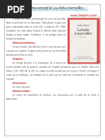 La Boîte À Merveilles Le Schéma Narratif PDF