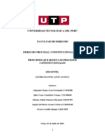 Principios Que Rigen Los Procesos Constitucionales