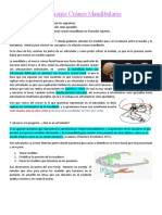 Relaciones Cráneo Mandibulares