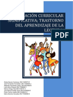 Adaptación Curricular. Trastorno Del Aprendizaje de La Lectura.