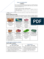 Ficha de Información