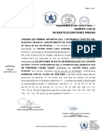 CEDULA No. 101803 - RESOLUCIÓN No.17224750-Resolucion-17224750 PDF