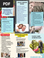 Copia de Prevención y Promoción de La Salud en La Adultez Tardía Grupo03