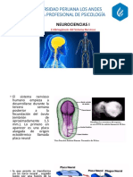 Embriogenesis Del Sistema Nervioso