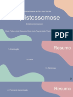 Esquistossomose PDF