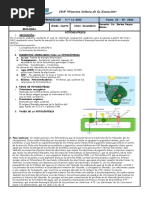 SESIÓN N°11 - BIOLOGÍA - 4° AÑO Nsa