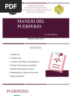 Manejo Del Puerperio