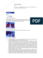 Medicina Legal Segundo Parcial