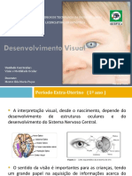 Desenvolvimento Visual 1 Ano-Signed PDF