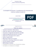 DP Force1718 Propagation-Des-Fissures Noels