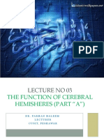 03 Lecture DPT 4 Neuroanatomy 'FUNCTION OF CEREBRAL HEMISPHERE' 'Part A'