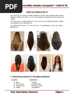 Iis - Clase 05 - Corte en V en Cabello Largo