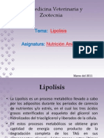 LIPOLISIS