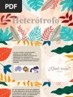 Heterotrofos