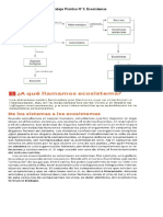 Trabajo Practico n3 Ecosistema Biologia