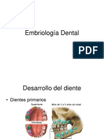 Embriologia Dental