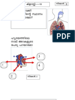 Biology Worksheet