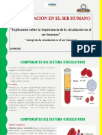 Semana3 SESIÓN1 23-08 - 2021 Circulación Humano