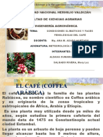 2 Condiciones Climaticas y Faces Fenologicas Del Caffe