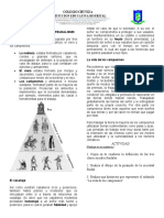 Organizacion Social Feudalismo