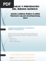 Tema de Capacitacion (Riesgo Quimico)