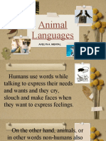 Animal Language Report