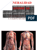 Generalidades Anatomia