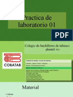 Practica de Laboratorio 01