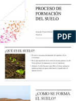 Proceso de Formación Del Suelo