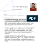 Vitoria Sagradin - Curriculo Vitae