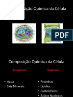 Composição Química Da Célula