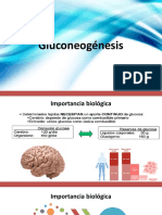 Gluconeogénesis, Glucogenogénesis y Glucogenólisis