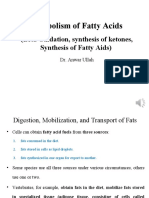 Oxidation and Biosynthesis of Fatty Acids