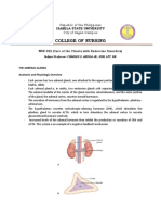 Adrenal Glands