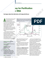 A New Runway For Purification of Messenger RNA