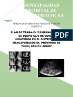 Plan de Trabajo Despistaje de Quiste Hidatidico