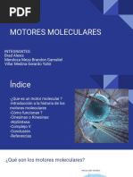 Motores Moleculares