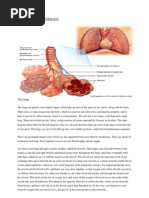 Anatomy and Physiology