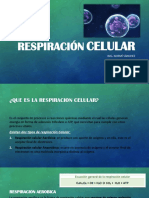 Respiración Celular