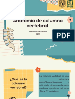 Anatomía de Columna Vertebral