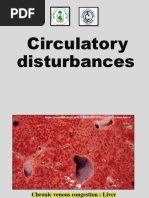 Lab7 Circulatory Disturbances