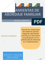 Abordaje Familiar