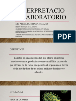 Perfil Glucemico y Pancreatico